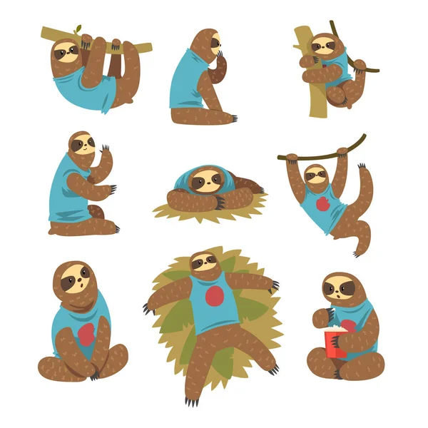 Funny sloths set, lazy exotic rainforest animal character in different postures vector Illustrations on a white background — Stock Vector