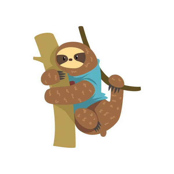 Забавный ленивец в синей футболке висит на дереве, ленивый экзотический тропических лесов характер животного вектор иллюстрации на белом фоне — стоковый вектор