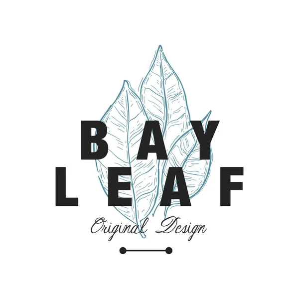 Logo Bay leaf desain asli, aromatik kuliner bumbu vektor herbal Ilustrasi pada latar belakang putih - Stok Vektor