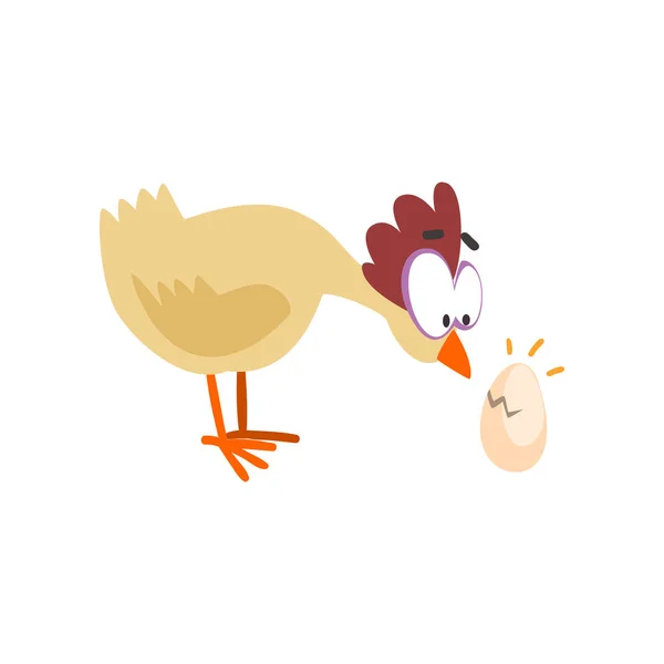 Surpris poule drôle regardant oeuf fissuré, personnage d'oiseau de poulet bande dessinée avec de gros yeux vecteur Illustration sur un fond blanc — Image vectorielle