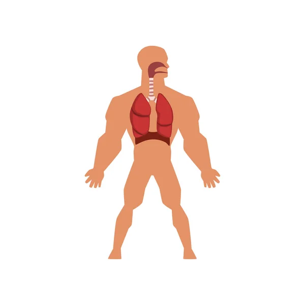 Isometric Prehistoric Man Stock Vector Image by ©macrovector #497244502 Biology Diagrams