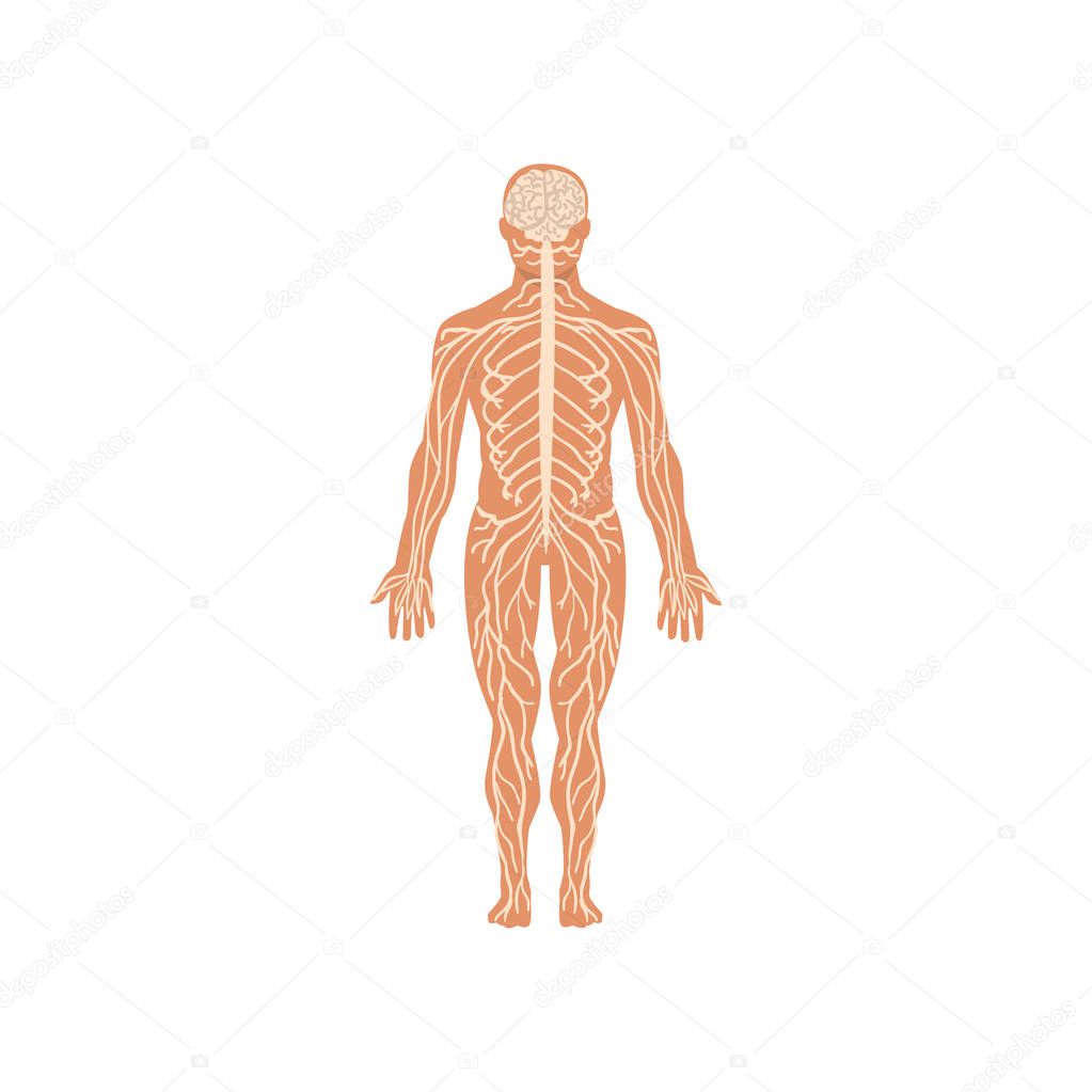 TopVectors