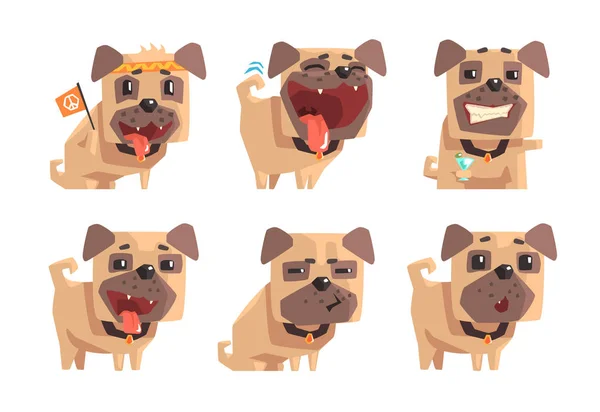 Conjunto de vectores planos de perro pug mostrando varias emociones. Animal doméstico con bozal divertido. Mascota. Pegatinas para redes sociales — Vector de stock