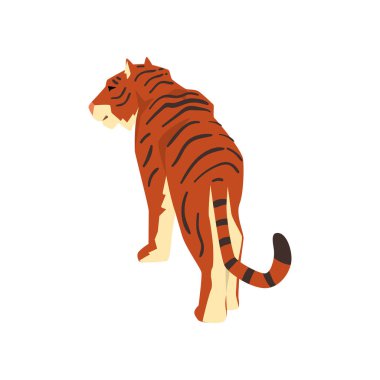 Görkemli kaplan, arkadan görünüm, vahşi kedi, predator çizgi film vektör çizim beyaz bir arka plan