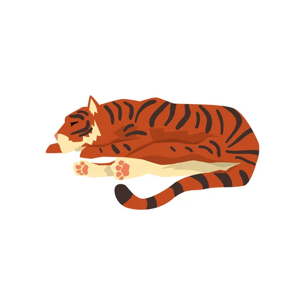 Tiger sover på golvet, vild katt, rovdjur tecknade vektor Illustration på vit bakgrund — Stock vektor