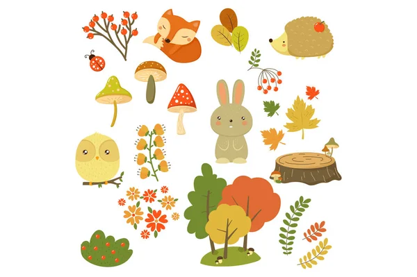 Herfst bos elementen set, bos dieren, bladeren, bloemen, bessen en paddestoelen cartoon vector illustraties op een witte achtergrond — Stockvector