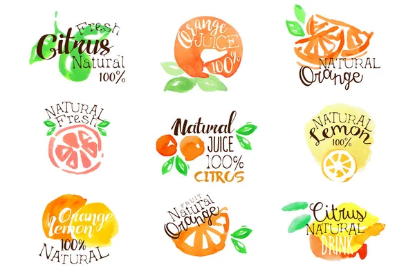 Fesh Citrus Juice Promo Signs Colorful Set — Stock Vector