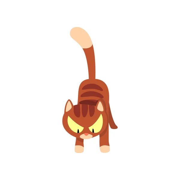 Kızgın kahverengi çizgili kedi çizgi film karakteri vektör çizim beyaz bir arka plan — Stok Vektör