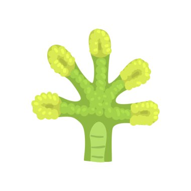 Kertenkele amfibi pençe vektör çizim beyaz bir arka plan