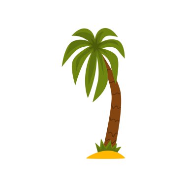 Palmiye ağacı, beyaz bir arka plan üzerinde güzel tropikal herdem yeşil bitki vektör çizim