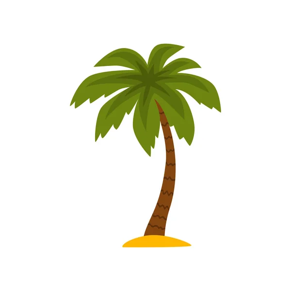 Hermosa palmera tropical siempreverde vector Ilustración sobre un fondo blanco — Archivo Imágenes Vectoriales