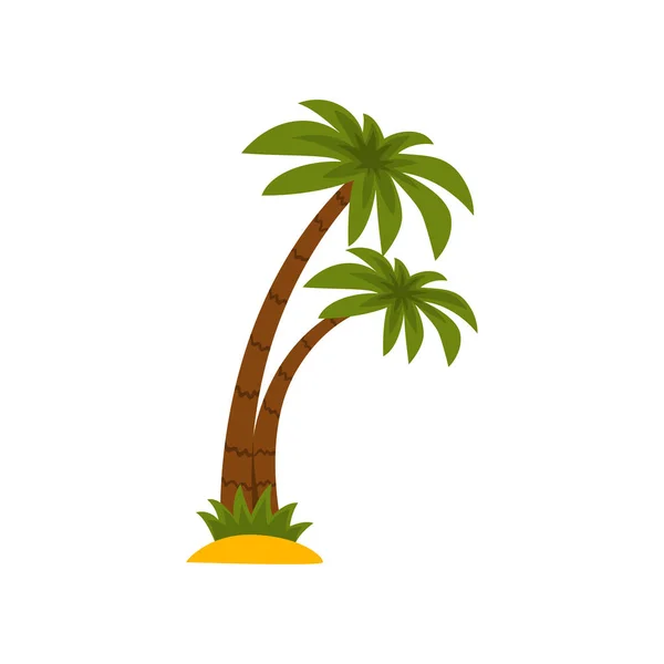 Vector de palmeras tropicales Ilustración sobre fondo blanco — Archivo Imágenes Vectoriales