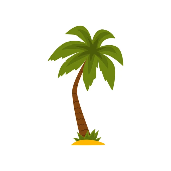 Hermoso vector verde palmera tropical Ilustración sobre fondo blanco — Archivo Imágenes Vectoriales