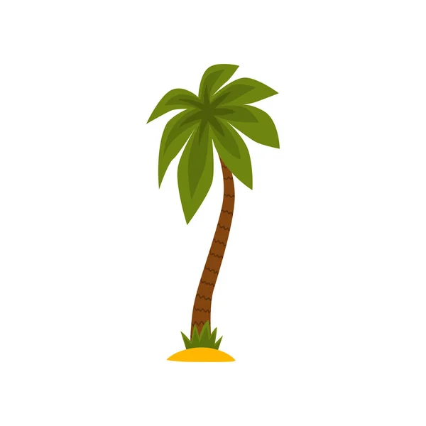 Palmera verde vector Ilustración sobre fondo blanco — Archivo Imágenes Vectoriales