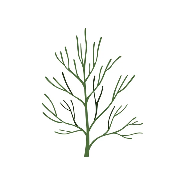 Grön färsk dill blad, vegetarianmat, aromatiska ekologiska ört för matlagning vektor Illustration på vit bakgrund — Stock vektor