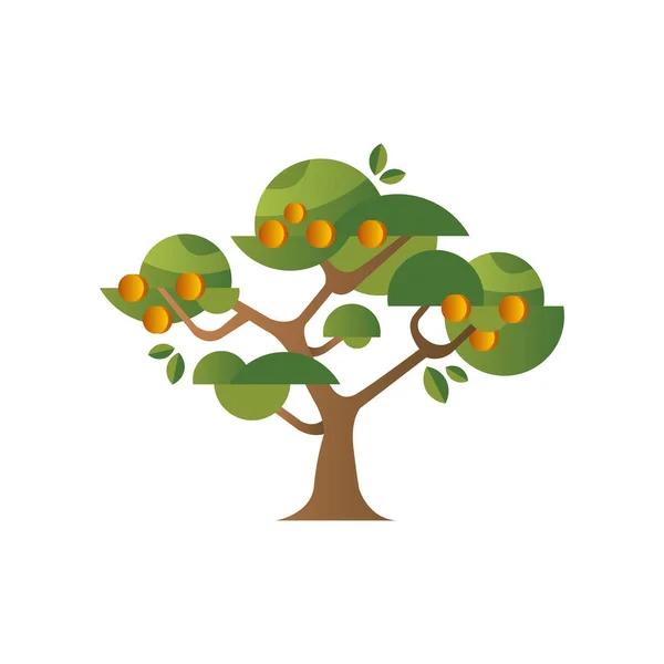 Gröna träd med aprikoser, trädgårds-växt med mogna frukter vektor Illustration på vit bakgrund — Stock vektor