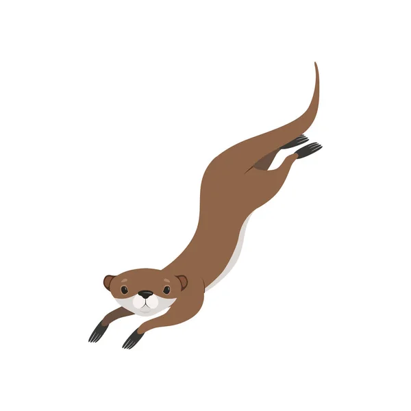 Szép barna vidra, úszás, vicces állat karakter vektoros illusztráció egy fehér háttér — Stock Vector