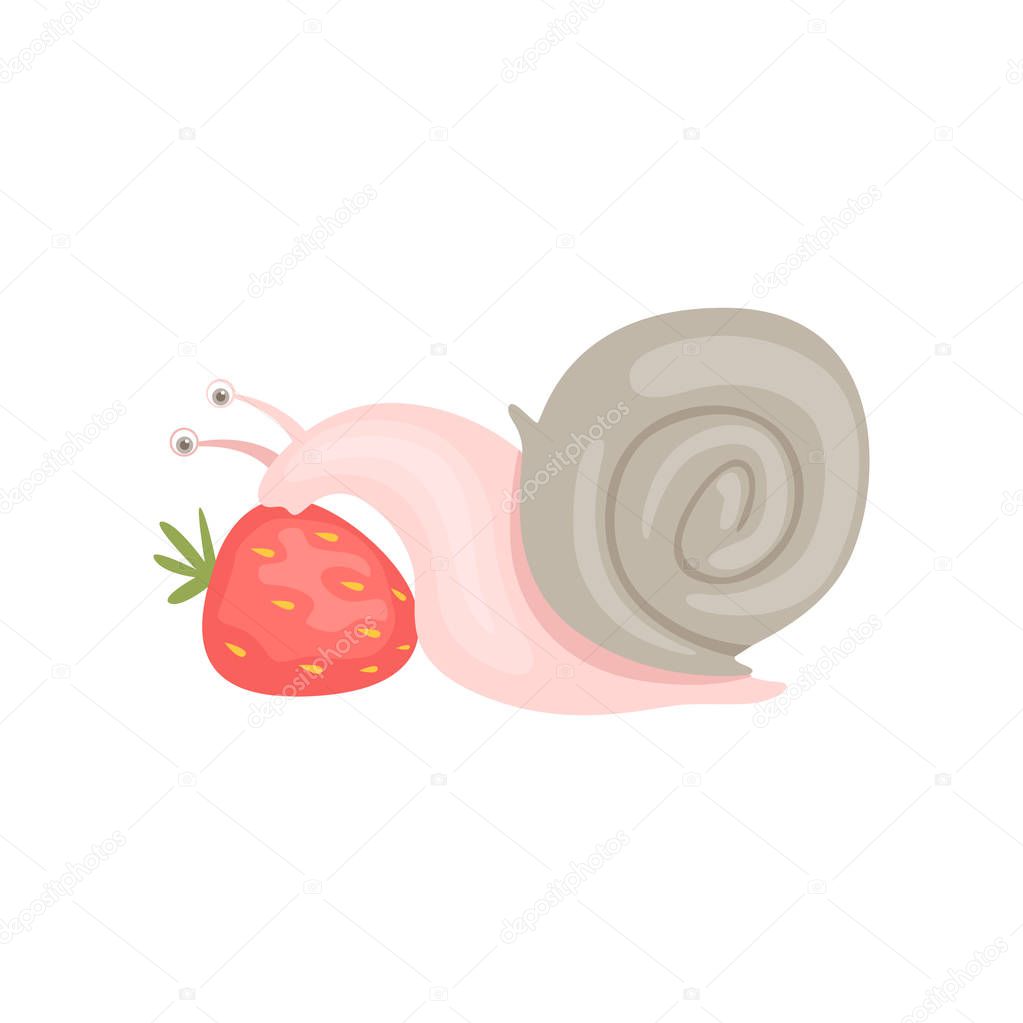 Cheerful little garden snail eating strawberry vector Illustration on a white background
