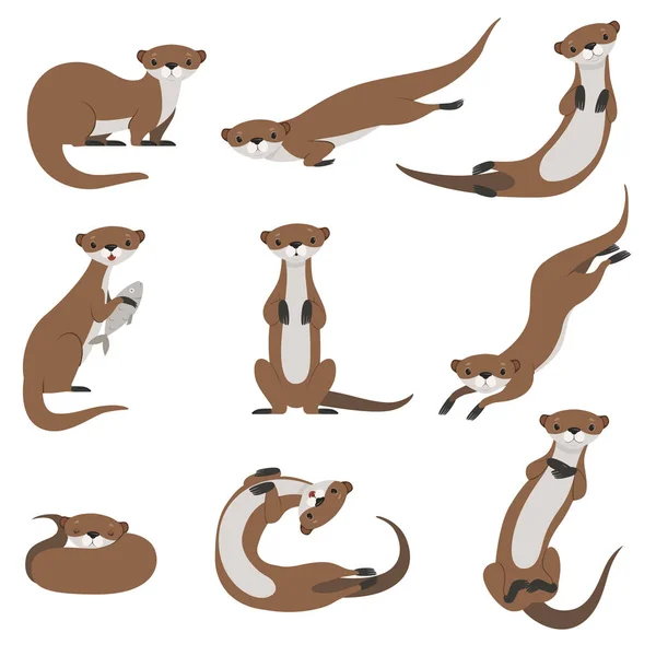可爱的水獭集, 有趣的动物字符在各种姿势矢量插图白色背景 — 图库矢量图片