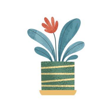 Çiçekli dekoratif houseplant, zarif ev veya ofis dekorasyonu vektör çizim beyaz bir arka plan