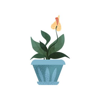 Anthurium Ev bitkisi, zarif ev veya ofis dekorasyonu vektör çizim beyaz bir arka plan