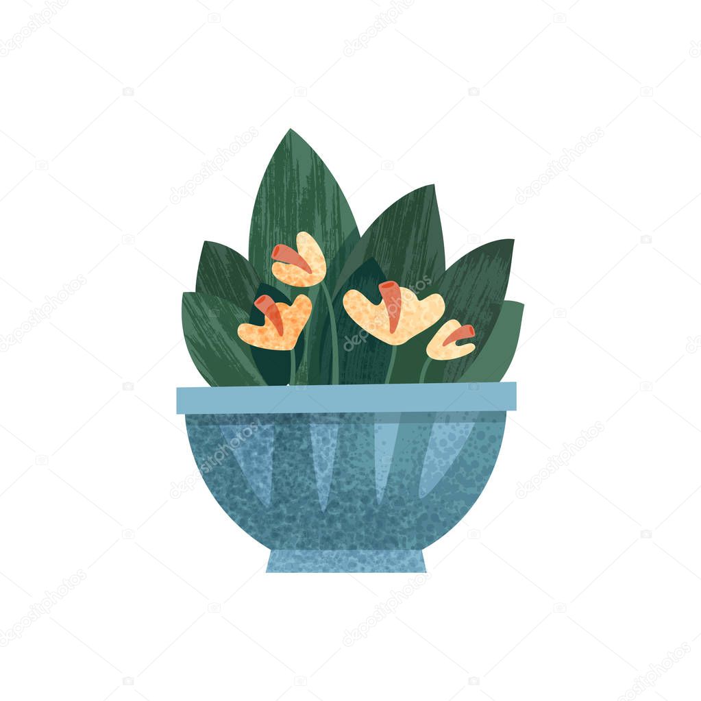 Flowering houseplant in a pot, elegant home or office decor vector Illustration on a white background