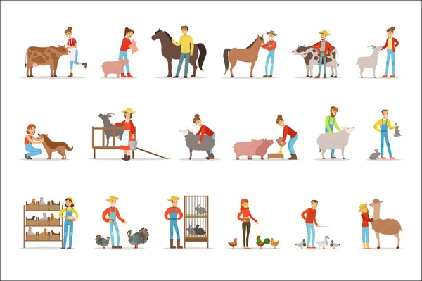 Breeding animals farmland. Farm profession worker people breeding livestock. Set of colorful cartoon detailed vector Illustrations — Stock Vector