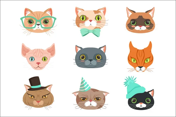 かわいい猫の元首の異なる品種、カラフルな文字ベクトル イラストのセット — ストックベクタ