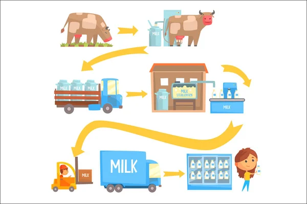 Produkcji i przetwórstwa mleka etapy zestaw wektorowych ilustracji — Wektor stockowy