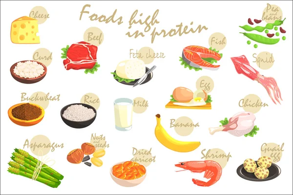 Jedzenie bogate w białka ręcznie rysowane realistycznie plakat z informacji tekstowych w projekt wektor. — Wektor stockowy
