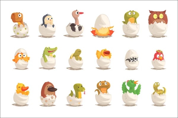 Пташенята та рептилії вилуплюються з набору яєць, ненароджені тварини Векторні ілюстрації — стоковий вектор