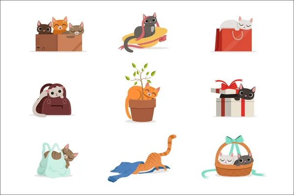 Carino gatti diversi che hanno riposo nei loro luoghi preferiti insieme di illustrazioni vettoriali — Vettoriale Stock