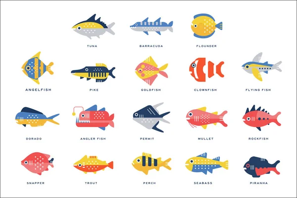 Collection of sea and river fish and lettering name in English vector Illustrations — Stock Vector
