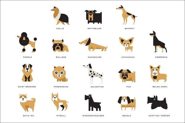 Farklı köpek doğurmak karakterleri ve yazı doğurmak İngilizce vektör çizimler koleksiyonu — Stok Vektör