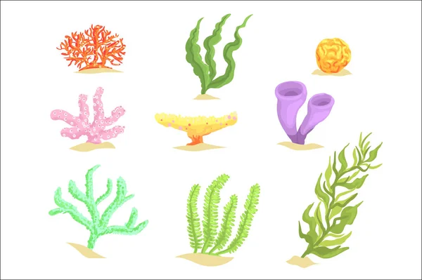 Conjunto de plantas submarinas de dibujos animados, algas marinas y vectores de algas marinas acuáticas Ilustraciones — Vector de stock