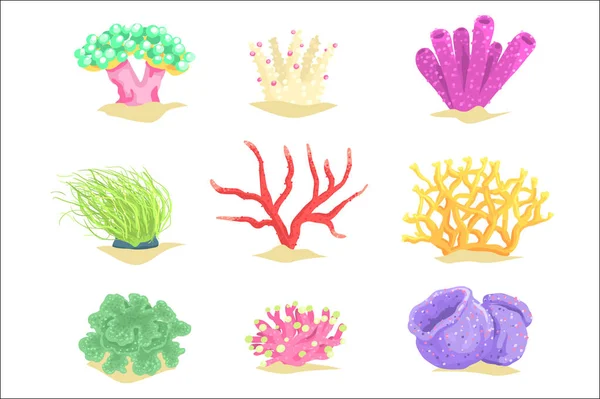 Conjunto de plantas submarinas, algas marinas y vectores de algas marinas acuáticas Ilustraciones — Vector de stock