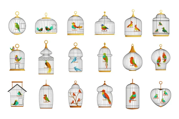 Vogelkäfige mit verschiedenen Vogelarten mit Vektorillustrationen — Stockvektor