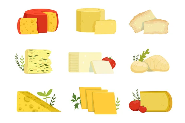 Diferentes tipos de trozos de queso, tipo popular de vector de queso Ilustraciones — Archivo Imágenes Vectoriales