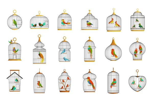 Sangkar burung dengan berbagai burung set of vector Illustrations Stok Vektor Bebas Royalti