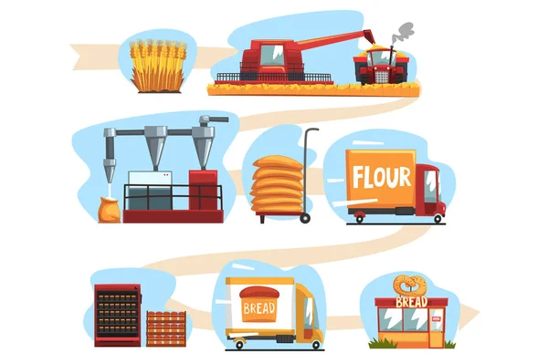 Production of bread from wheat harvest to to freshly baked bread in shop set of cartoon vector Illustrations — Stock Vector