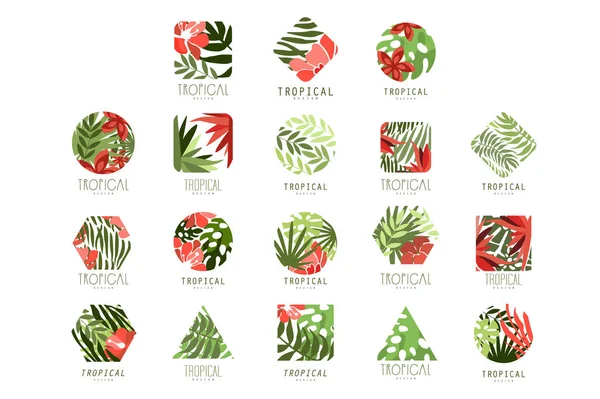 Collezione di logo tropicale geometrico con foglie e fiori — Vettoriale Stock