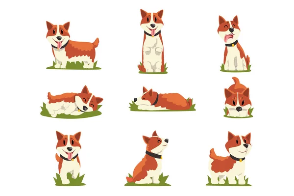 Conjunto de desenhos animados cães corgi de cabelos vermelhos — Vetor de Stock