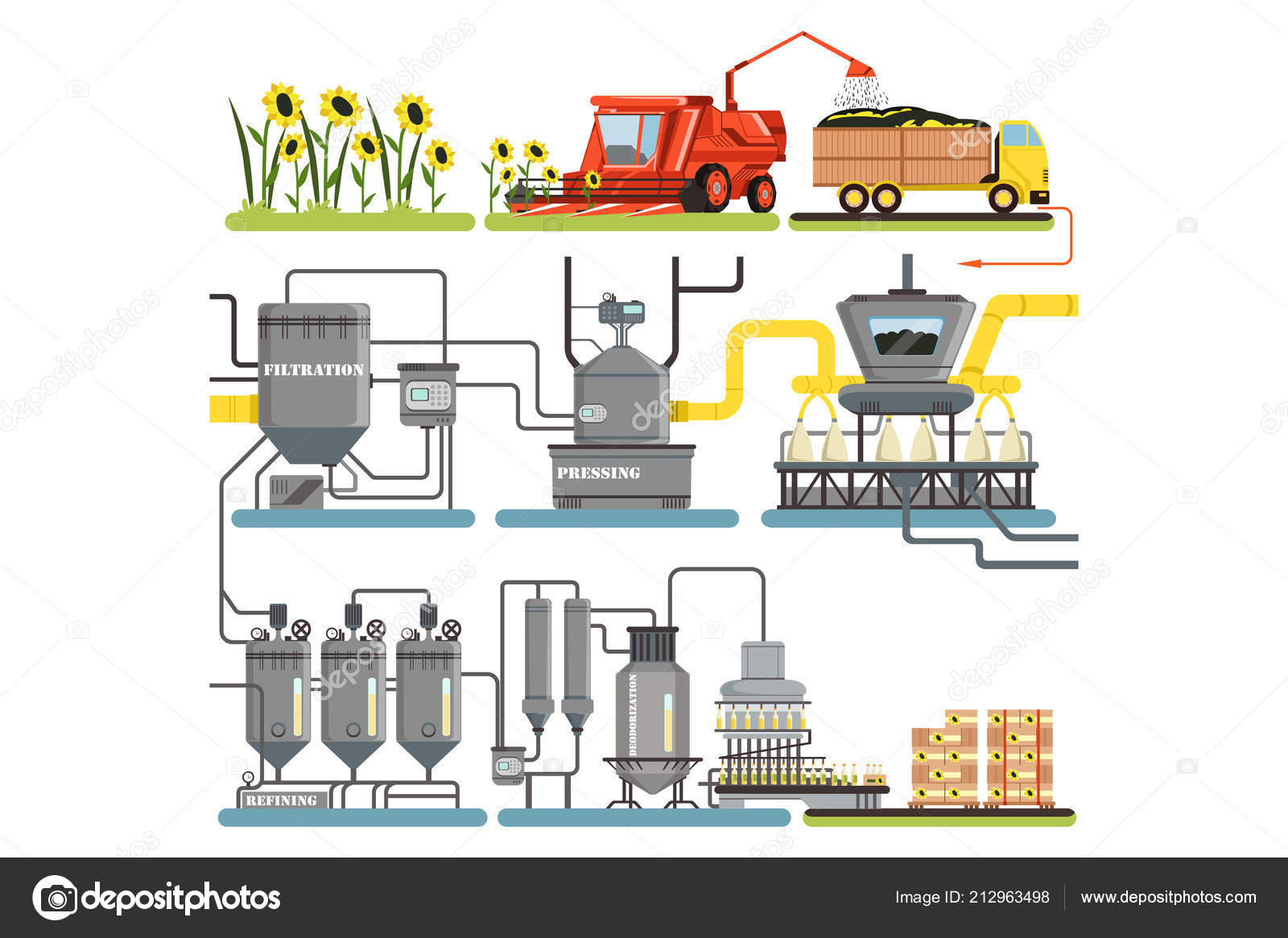 Etapas del proceso de la producción de aceite de girasol