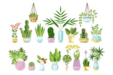 Düz stil renkli houseplants kuyrukta tencere seti. Ev Dekoratif bitkiler. Kapalı çiçek, tasarım öğeleri üzerinde beyaz izole vektör toplama.