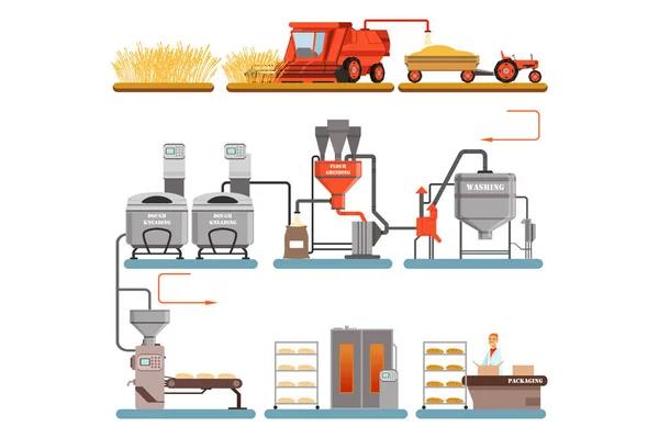 Процес виробництва хліба етапи від збору пшениці до свіжоспеченого хліба Векторні ілюстрації — стоковий вектор