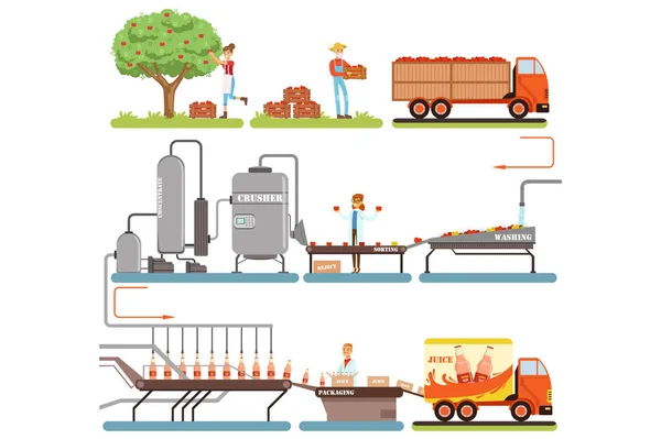 Sok etapach procesu produkcji, zakład produkcji soku jabłkowego z świeżego jabłka vector ilustracje — Wektor stockowy