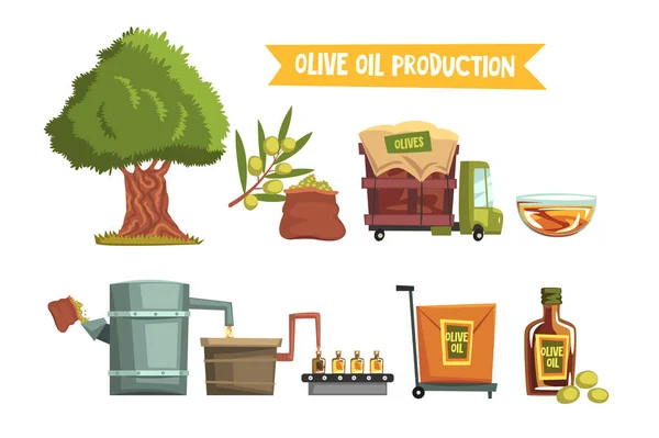 Процес виробництва оливкової олії від вирощування до вирощування готової продукції дерева, збирання врожаю, відправлення на завод, пресування, розлив, упаковка, транспортування — стоковий вектор