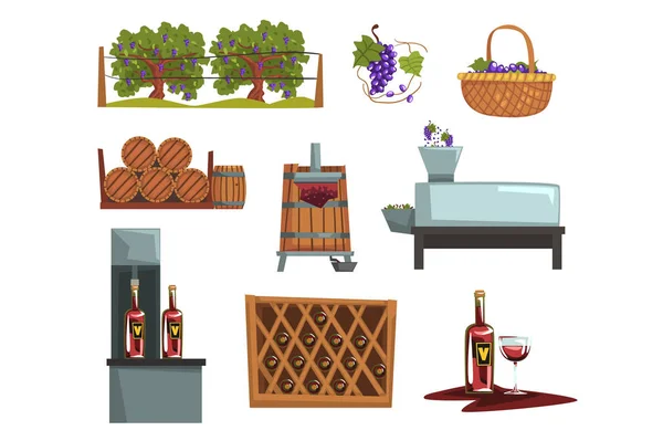 Estágios do processo de produção do vinho, bebida da produção do vetor dos desenhos animados da uva Ilustrações — Vetor de Stock