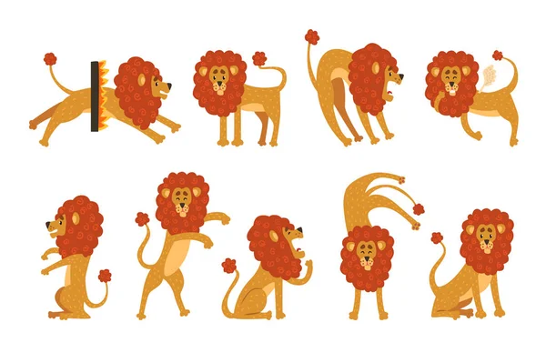 Conjunto de leões africanos engraçados em diferentes ações. Desenhos animados caráter animal selvagem. Tema do zoológico. Design de vetores planos para livros infantis, estampas de camiseta ou adesivos — Vetor de Stock