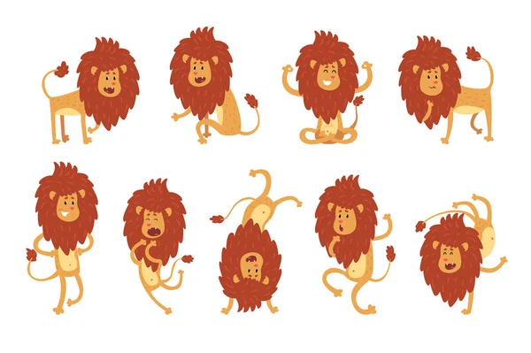 收集狮子在各种姿势。野生非洲动物的卡通人物。强大的捕食者动物园主题。贴纸、儿童印刷品或书籍的平面矢量设计 — 图库矢量图片